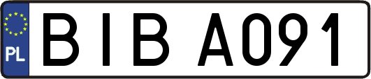 BIBA091