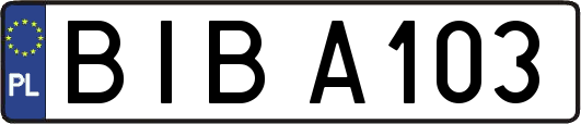 BIBA103