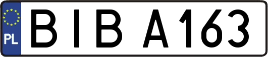 BIBA163