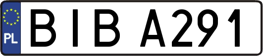 BIBA291