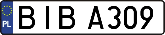 BIBA309