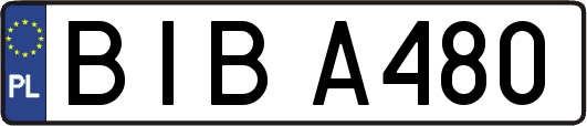 BIBA480