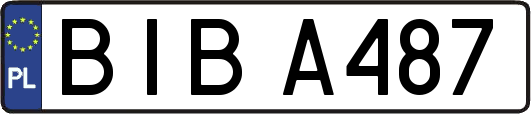 BIBA487