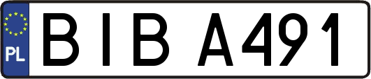 BIBA491