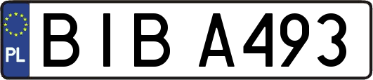 BIBA493