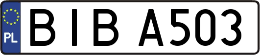 BIBA503