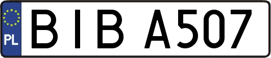 BIBA507