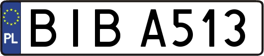 BIBA513