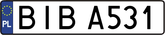 BIBA531