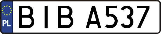 BIBA537