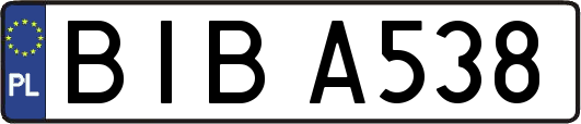 BIBA538