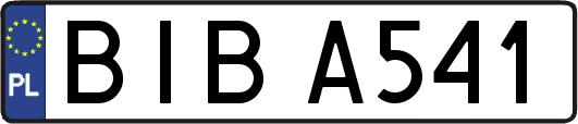 BIBA541