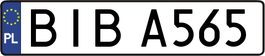 BIBA565