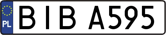 BIBA595
