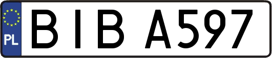 BIBA597