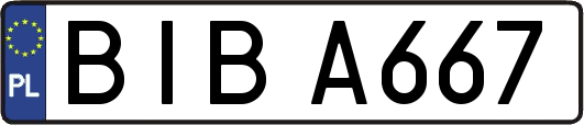 BIBA667