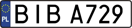 BIBA729