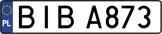 BIBA873