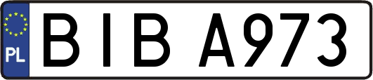 BIBA973