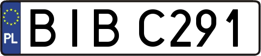 BIBC291