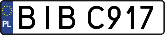 BIBC917