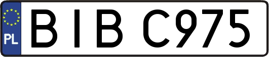 BIBC975