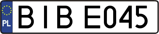 BIBE045