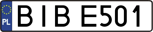 BIBE501