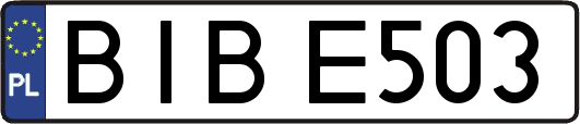 BIBE503