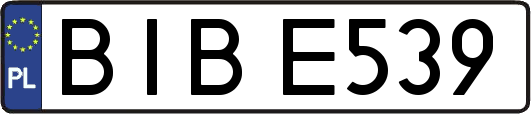 BIBE539