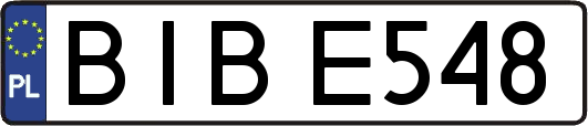 BIBE548