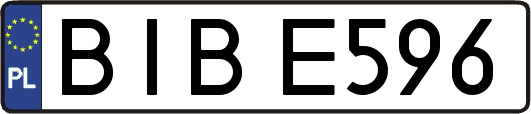 BIBE596