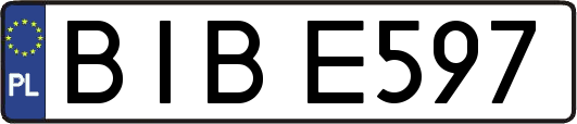 BIBE597