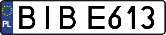 BIBE613
