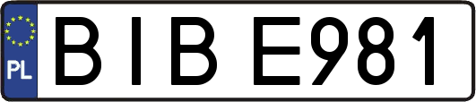 BIBE981