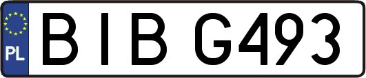 BIBG493
