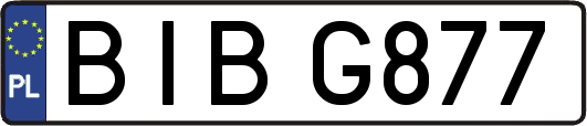 BIBG877