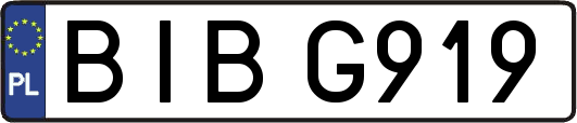 BIBG919