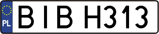 BIBH313