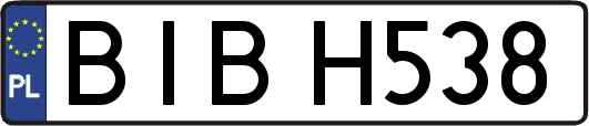 BIBH538