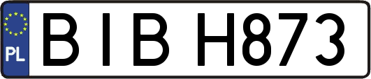 BIBH873