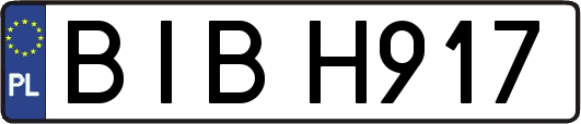 BIBH917