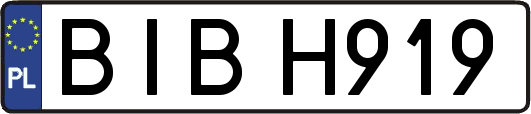 BIBH919