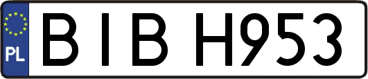 BIBH953