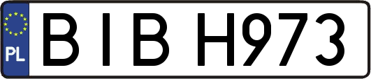 BIBH973