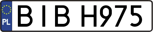 BIBH975