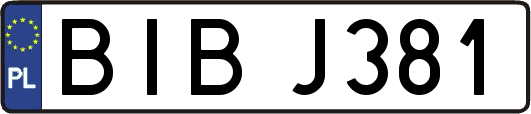 BIBJ381