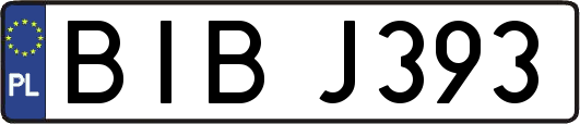 BIBJ393
