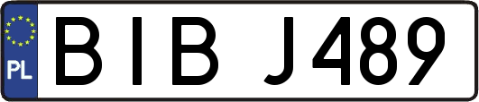 BIBJ489
