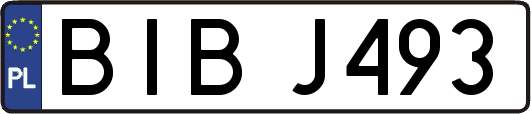 BIBJ493